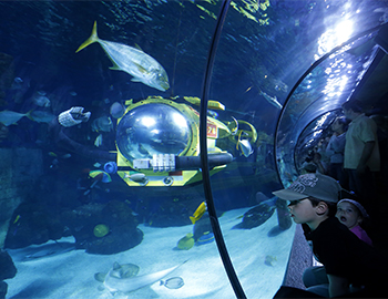Kinder schauen in ein Aquarium mit Fischen und einem Lego-U-Boot